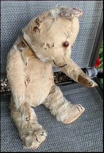 Karen H.'s Teddy before treatment
