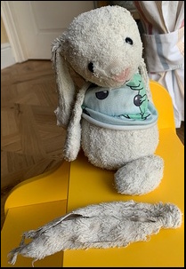 Lucy H.'s Bunny before treatment