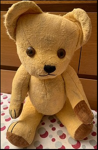 Lucy H.'s Teddy Edward after treatment