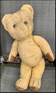 Lucy H.'s Teddy Edward before treatment