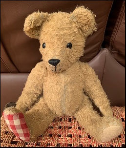 Nym M.'s Teddy after treatment