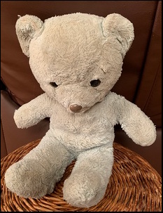 Rob H.'s Blue Bear before treatment