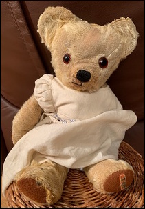 Ros V.'s Teddy after treatment