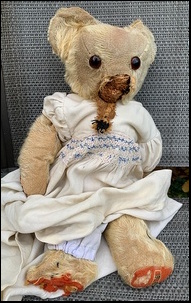 Ros V.'s Teddy before treatment