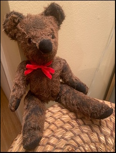 Ruth W.-D.'s Teddy after treatment