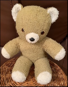 Saran E.'s teddy after treatment