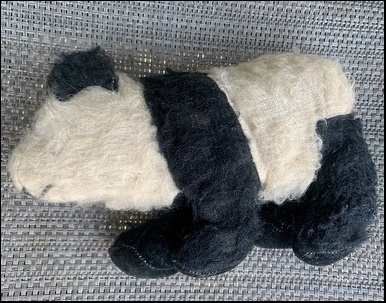 Sarah G.'s Panda before treatment