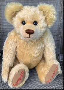 Sarah M.'s Teddy after treatment