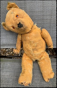 Sue S.'s Ted before treatment