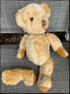 Tim B.'s bear before treatment