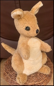 Tia's Kangaroo after treatment
