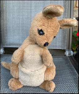 Tia's Kangaroo before treatment
