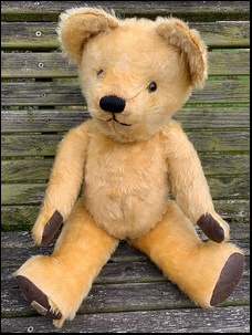Val C.'s Teddy after treatment