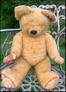 Val C.'s Teddy before treatment