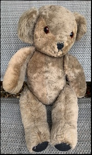 Vanessa's Teddy after treatment