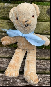 Andrew B.'s Blue Ted before treatment