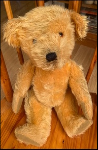 Anthea C.'s Teddy after treatment