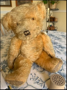 Anthea C.'s Teddy before treatment