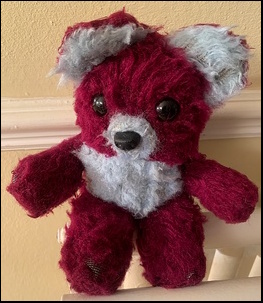 Abi S.'s Bobby after treatment