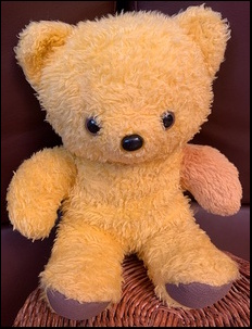 Annelie V.J.'s Sweety after treatment