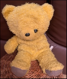 Annelie V.J.'s Sweety before treatment