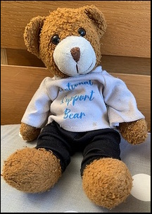 Anonymous Teddy after treatment