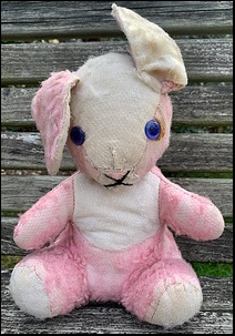 Christine S.'s Bunny before treatment