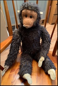 Carol S.'s Monkey after treatment