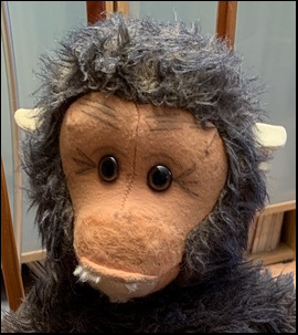 Carol S.'s Monkey's face after treatment