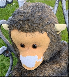 Carol S.'s Monkey's face before treatment