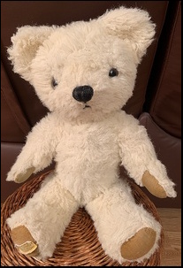 Debbie G.'s Percy after treatment