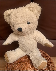 Debbie G.'s Percy before treatment