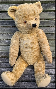 Diane McC.'s bear after treatment