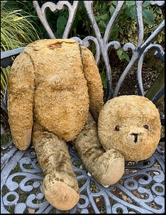 Diane McC.'s bear before treatment