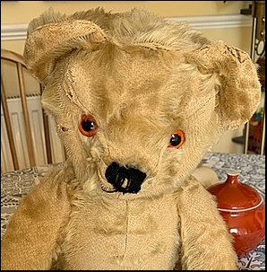 Fiona E.'s Ted of Melford after treatment