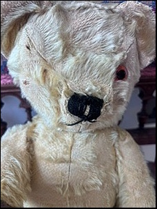 Fiona E.'s Ted of Melford before treatment