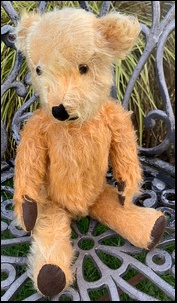 Glenda O'B.'s Teddy after treatment