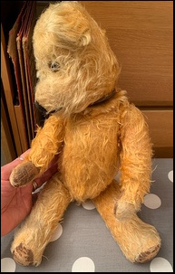 Glenda O'B.'s Teddy before treatment