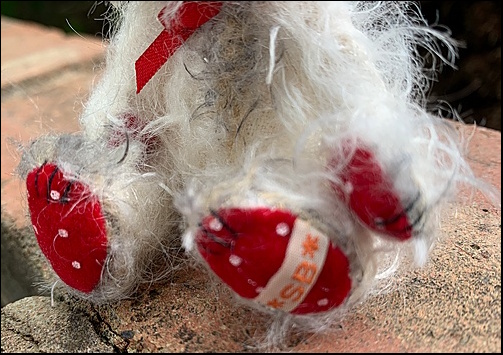 Gabriel's paws with the SB label