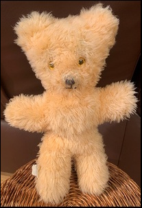 Holly J.'s Teddy Bear after treatment