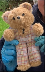 Iva G.'s Teddy after treatment