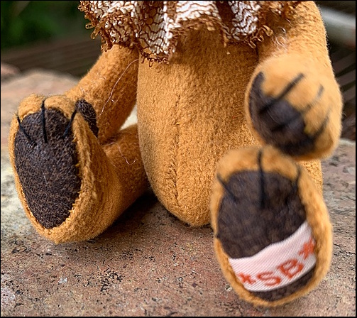 Isabella's paws with the SB label