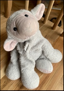 Jasmyn F.'s Lamby before treatment