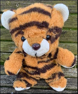 Jackie G.'s Tigger after treatment