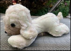 Justin K.'s Mr. Puppy after treatment