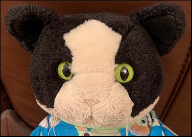 Jason W.'s Pip after treatment