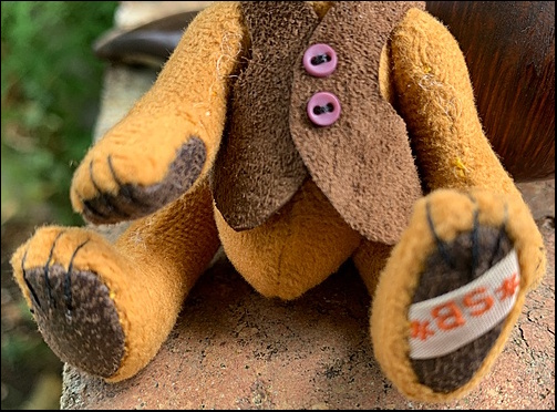 Jasper's paws with the SB label