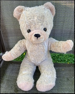 Laura B.'s Fluffy after treatment
