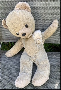 Laura B.'s Fluffy before treatment