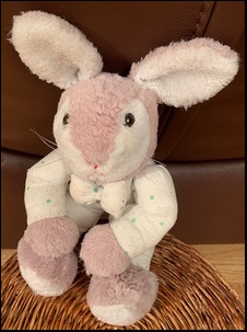 Lauren H.'s Rabbit after treatment